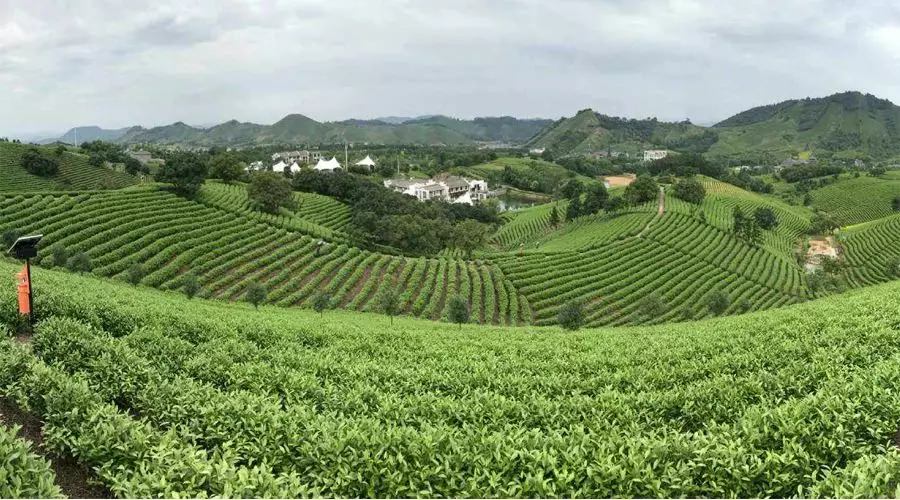 【4天五一小長假攻略】-西尼機電預(yù)祝各位“五一勞動節(jié)”快樂！