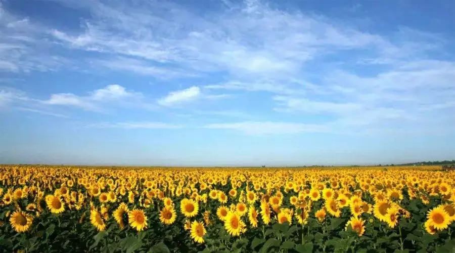 【4天五一小長假攻略】-西尼機電預(yù)祝各位“五一勞動節(jié)”快樂！