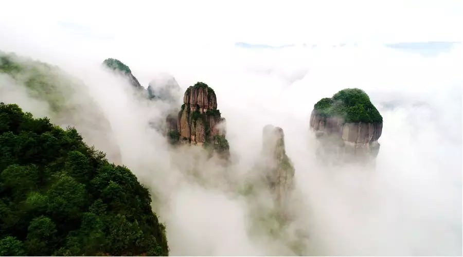 【4天五一小長假攻略】-西尼機電預(yù)祝各位“五一勞動節(jié)”快樂！